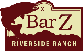 bar z logo 2 color
