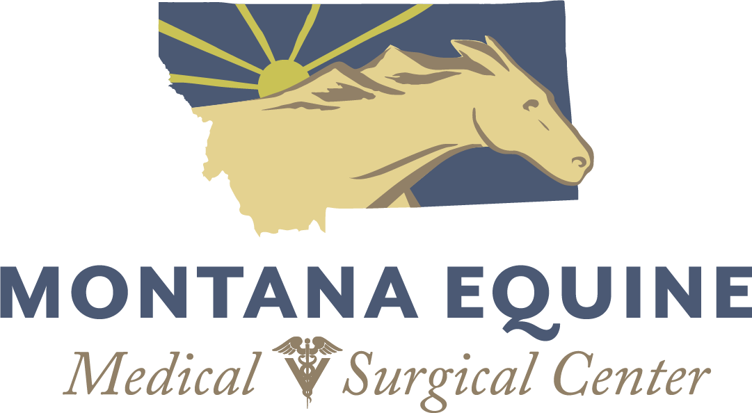 montana equine logo